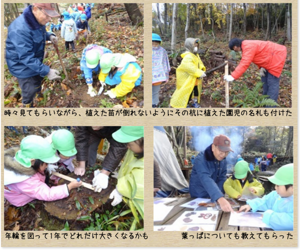 しらゆり保育園