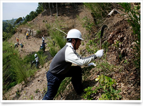株式会社山陰合同銀行