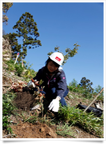 株式会社山陰合同銀行