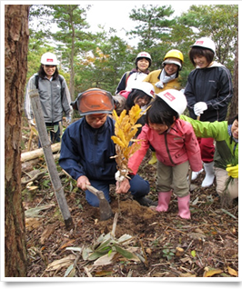 株式会社山陰合同銀行