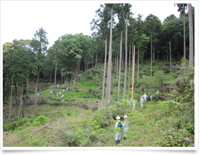 島根県森林土木技術協会