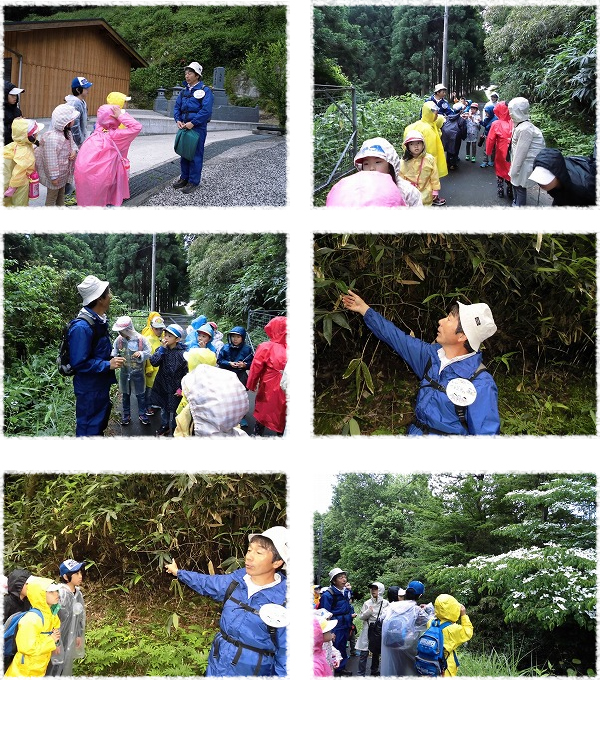 出雲市立須佐小学校（すさっこ探検隊）