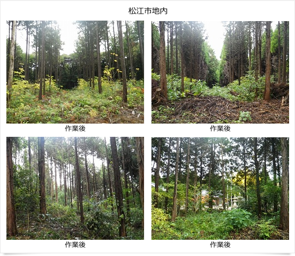 コカ・コーラウエスト株式会社