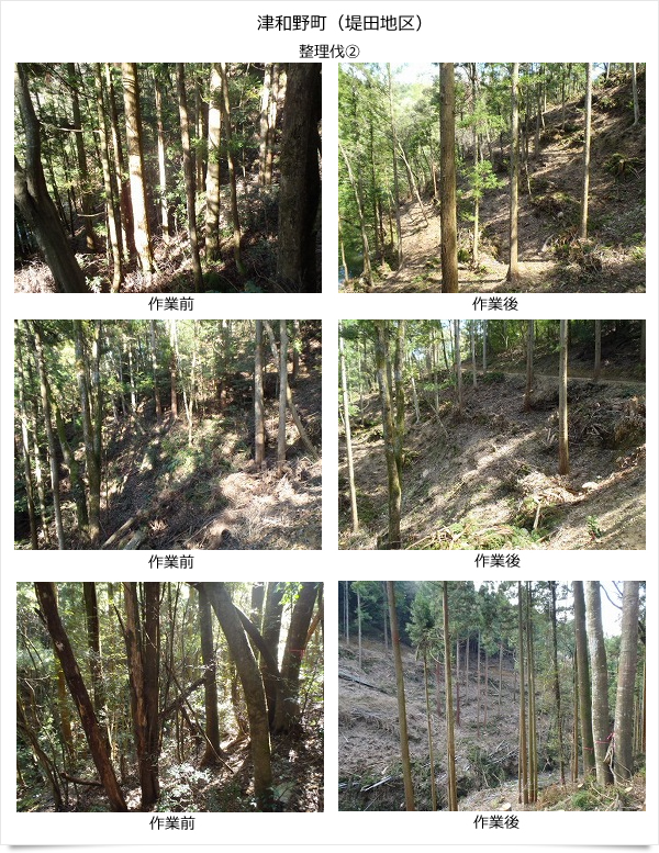 公益財団法人いづも財団