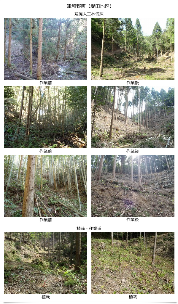 公益財団法人いづも財団