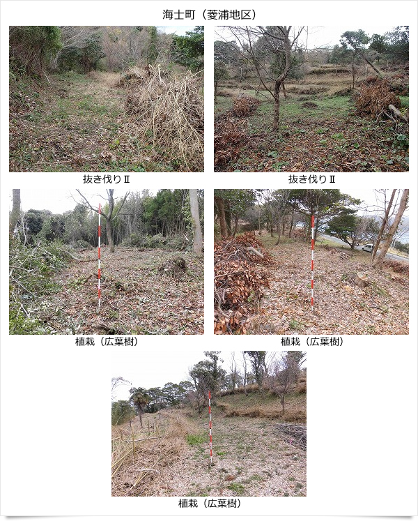 公益財団法人いづも財団