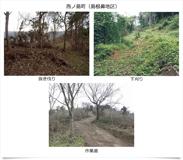 公益財団法人いづも財団