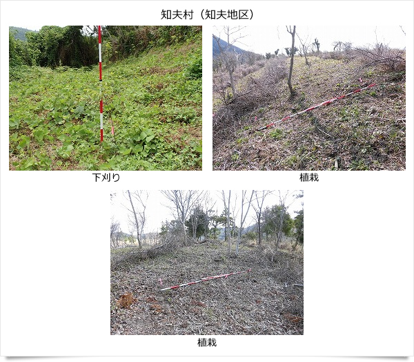 公益財団法人いづも財団