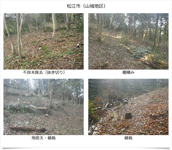 公益財団法人いづも財団