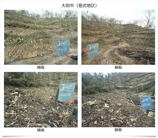 公益財団法人いづも財団