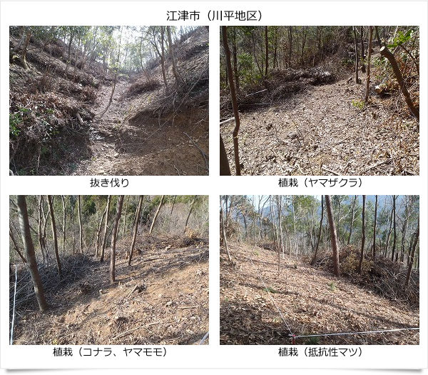 公益財団法人いづも財団