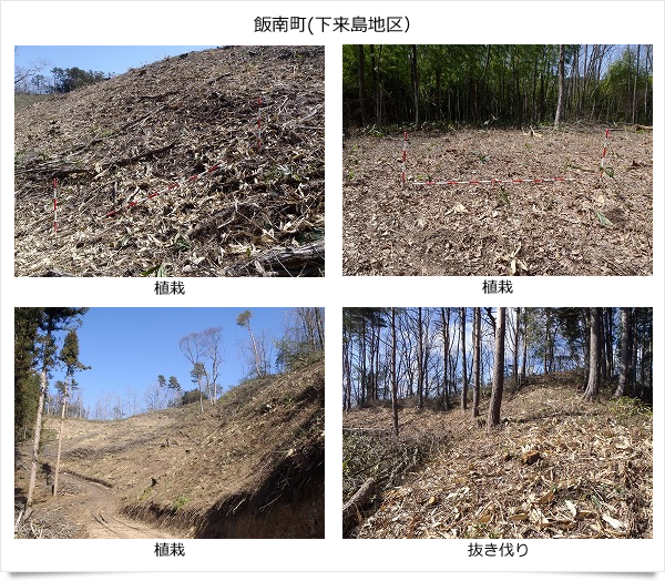 公益財団法人いづも財団