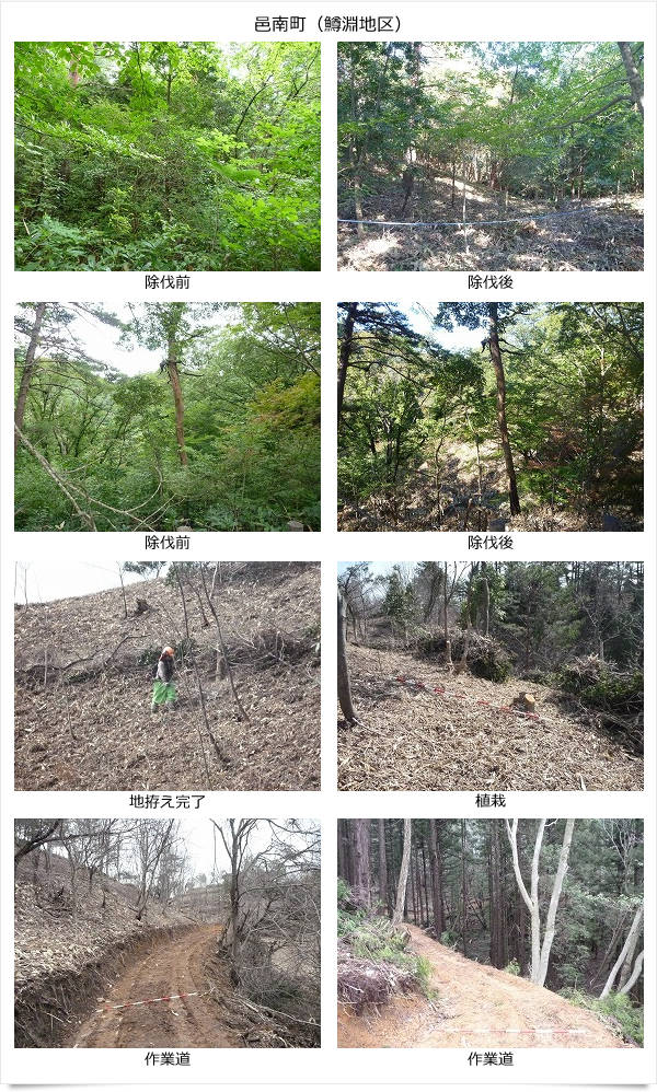 公益財団法人いづも財団