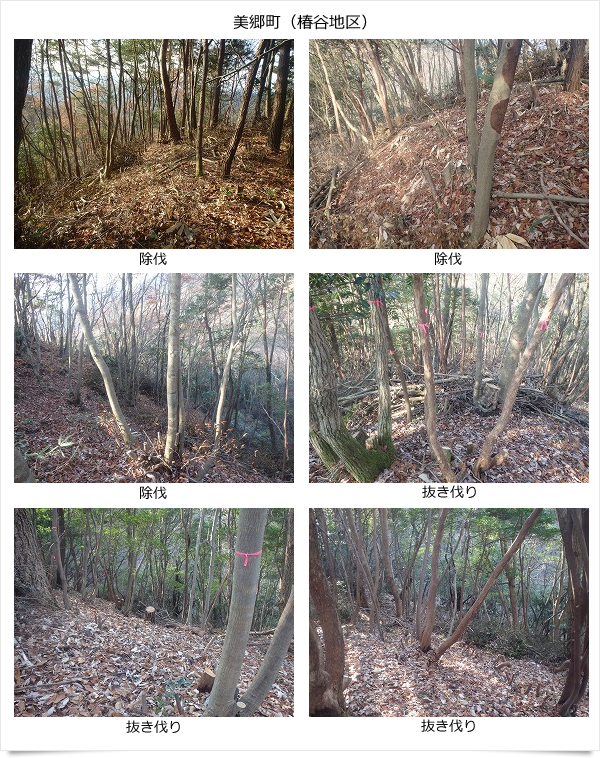 公益財団法人いづも財団