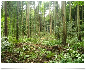 有限会社 日東ベンディング中国　松江営業所