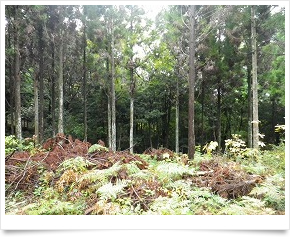 有限会社 日東ベンディング中国　松江営業所