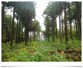 有限会社 日東ベンディング中国　松江営業所