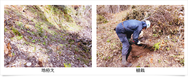 キリンビバレッジ株式会社