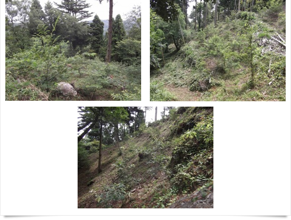 株式会社マサコーポレーション