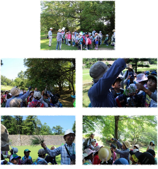 放課後母衣っこ教室