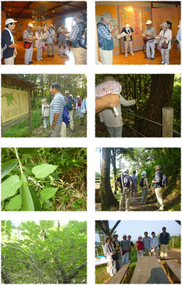 くにびきいきいき健福