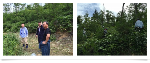 三井住友海上火災保険株式会社　山陰支店