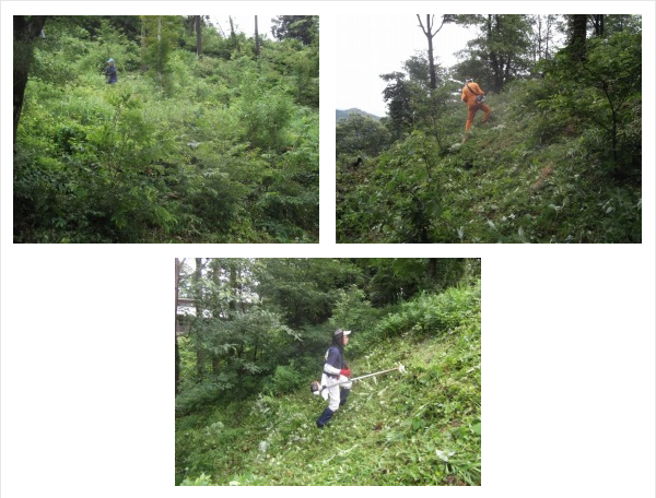 株式会社マサコーポレーション