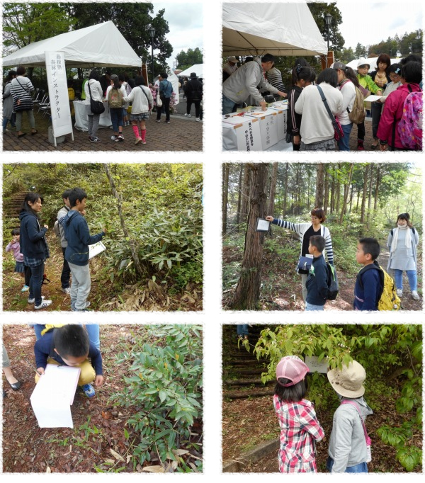 「2016森の誕生日」実行委員会