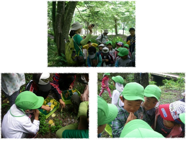 ほくよう保育園