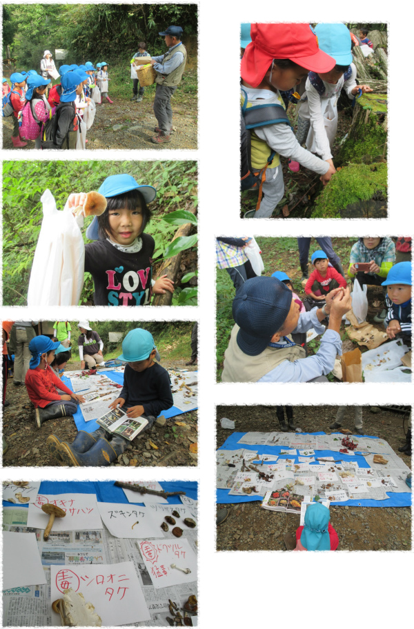 山のこども園うしのしっぽ