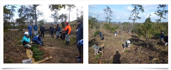島建コンサルタント株式会