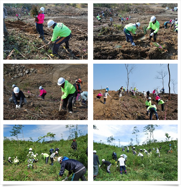 しまね信用金庫