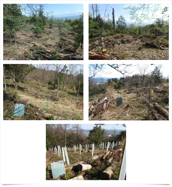 アイねっと株式会社