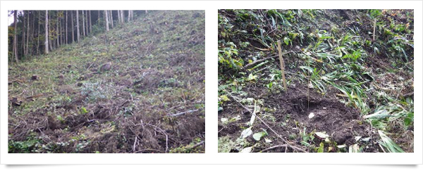 大和ハウス工業株式会社