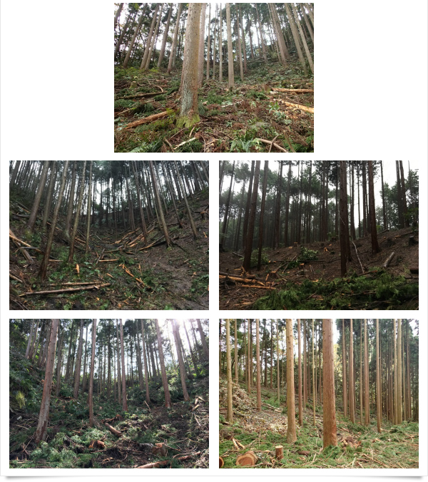 日立金属株式会社 安来工場