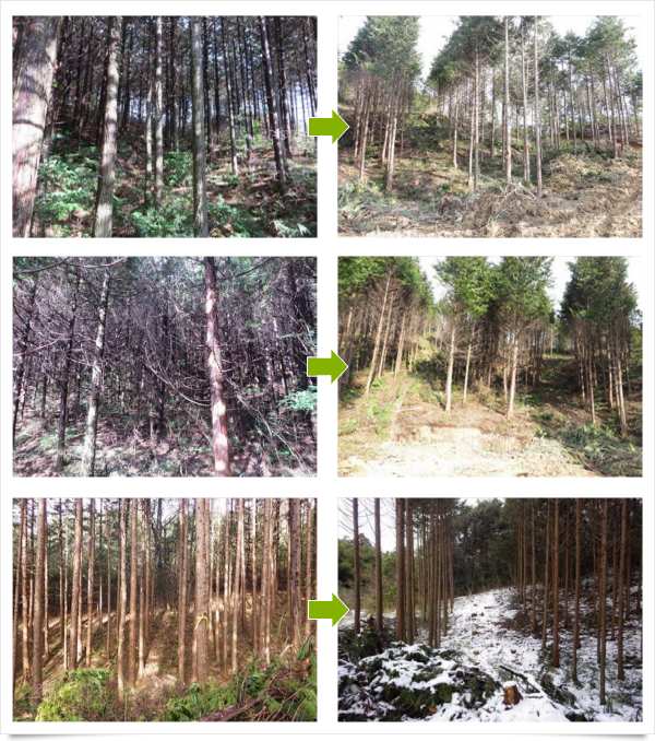 株式会社庭の川島