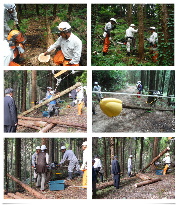 奥出雲仁多米株式会社