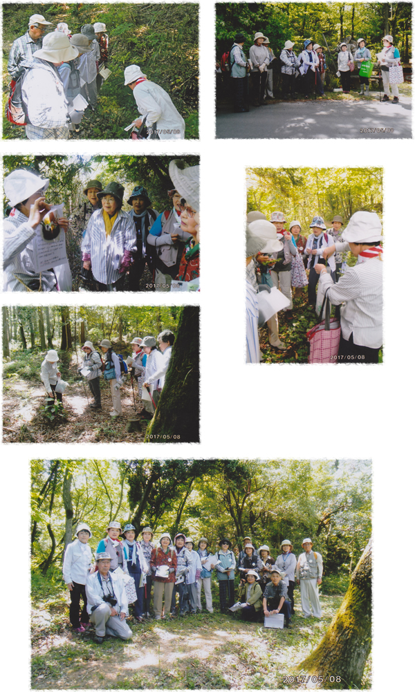 里山を育てる会