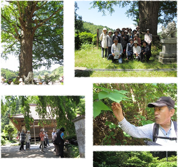 昭和町つくしの会