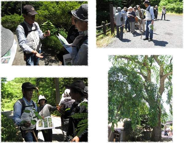 昭和町つくしの会