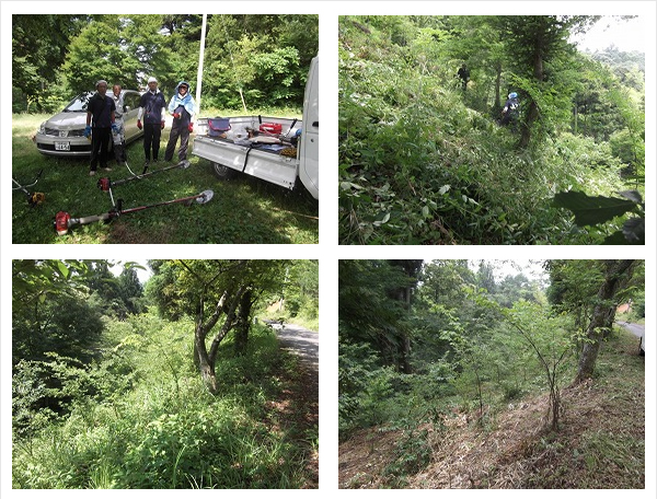 株式会社マサコーポレーション