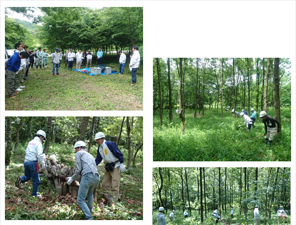 株式会社 ＮＴＴドコモ