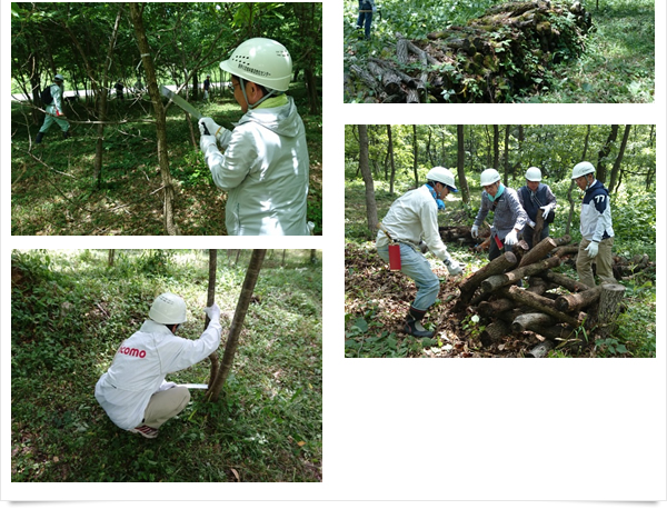 株式会社 ＮＴＴドコモ