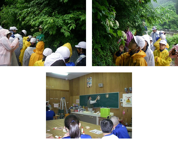 安来市立能義小学校