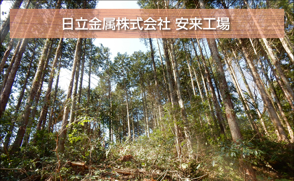 日立金属株式会社 安来工場