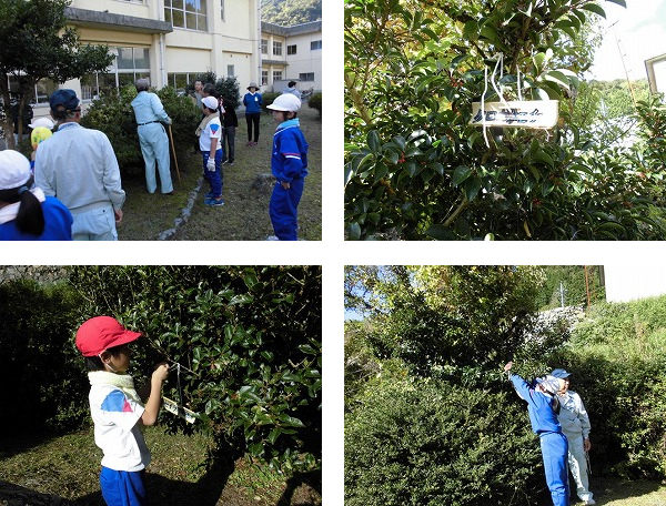 邑南町立日貫小学校