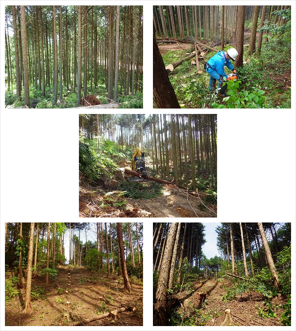 コカ・コーラボトラーズジャパン株式会社