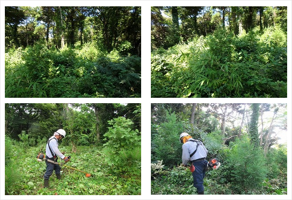 キリンビバレッジ株式会社 中四国地区本部