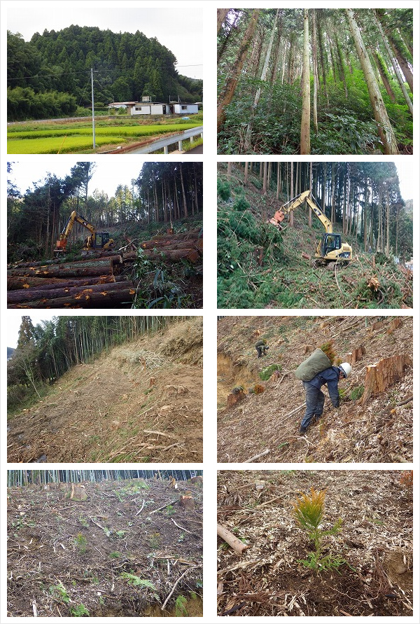 ナカバヤシ株式会社