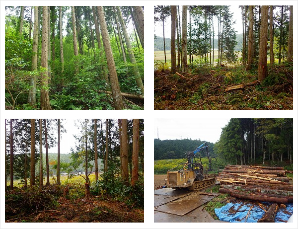 有限会社日東ベンディング中国 松江営業所